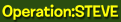 Operation Steve